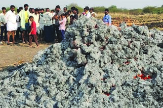 ಜೋಳದ ರಾಶಿಗೆ ಬೆಂಕಿ: 15 ಲಕ್ಷ ನಷ್ಠ 